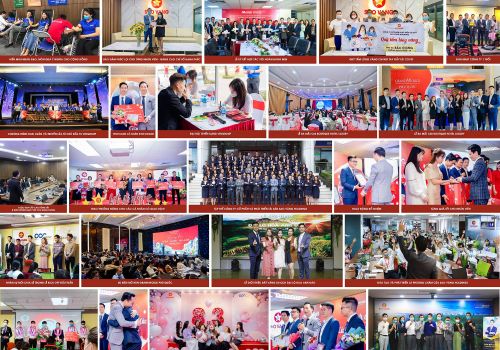 Sao Vàng Holdings vững tâm - bền chí - chinh phục mục tiêu