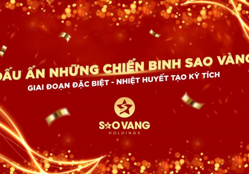 Dấu ấn những chiến binh Sao Vàng Holdings giai đoạn đặc biệt - Nhiệt huyết tạo kỳ tích
