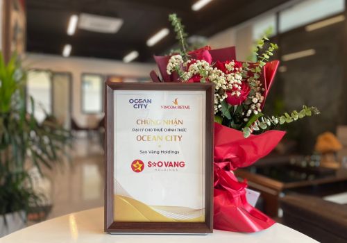 SAO VÀNG HOLDINGS - ĐẠI LÝ CHO THUÊ CHÍNH THỨC OCEAN CTIY
