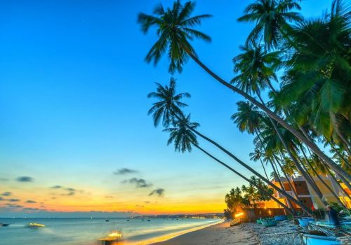 Phan Rí Cửa - cửa ngõ Khu du lịch Quốc gia Mũi Né hút các nhà đầu tư