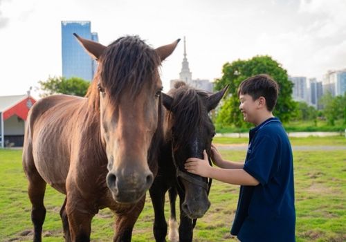 Kiếm bộn tiền nhờ kinh doanh du lịch dã ngoại ở Ocean City