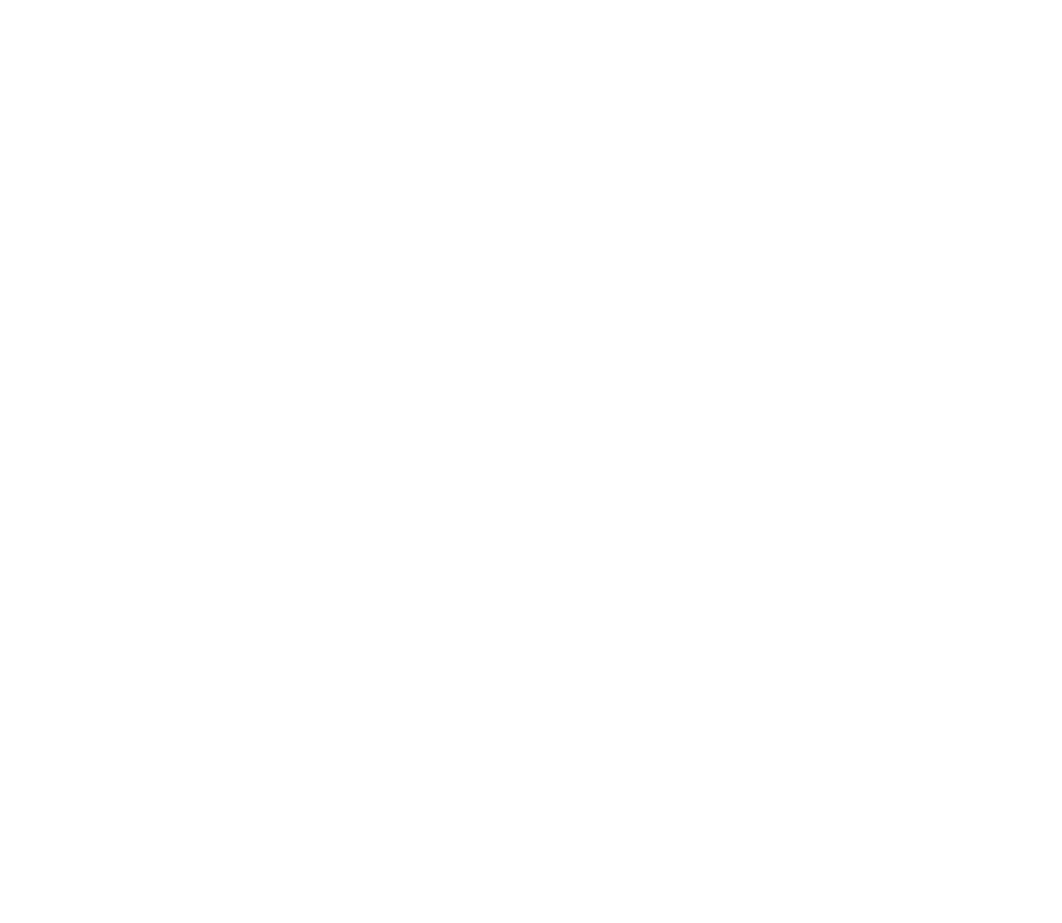 SAO VÀNG HOLDINGS