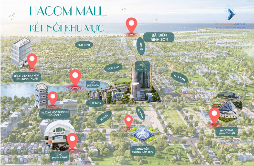 Screenshot 2022-06-11 094547