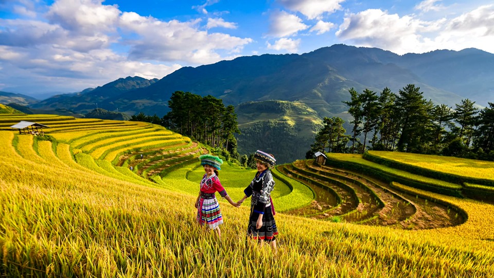 70809093_1501515256655044_4764180021977808896_n-1570008930-width960height540