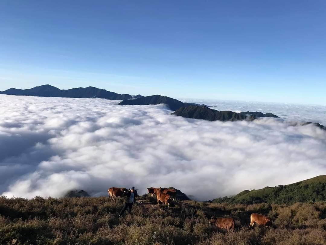 z2442825916578_ece2e072774ca3543fc16b44295fc03c