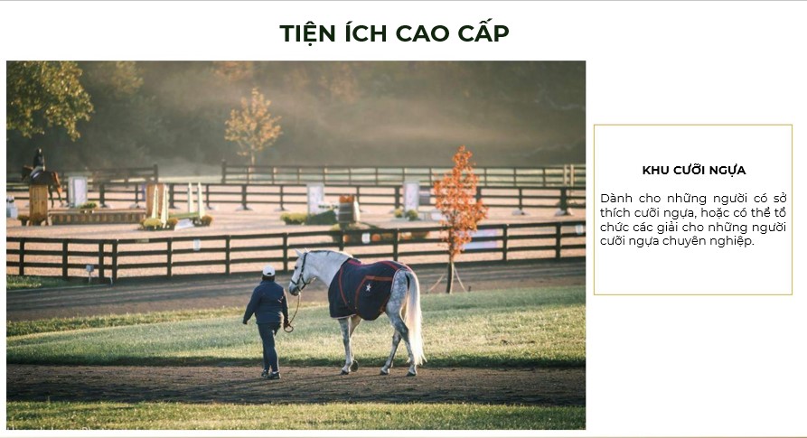 Screenshot 2021-12-15 114852