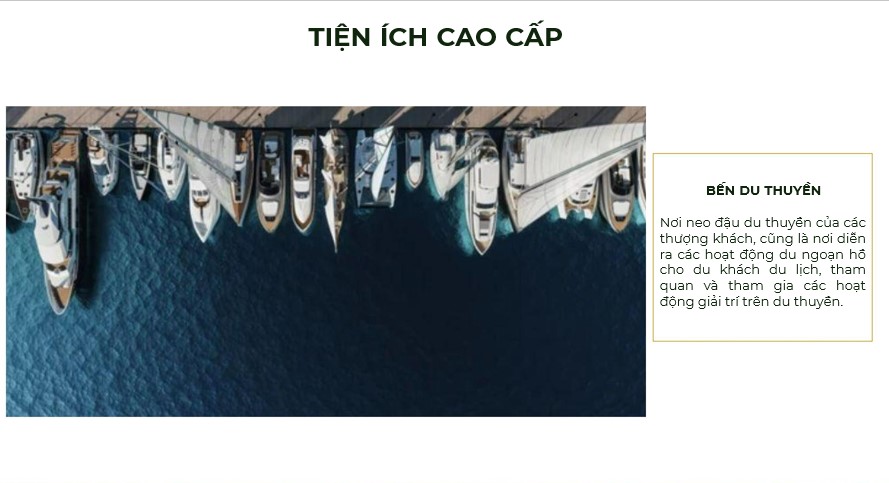 Screenshot 2021-12-15 114908