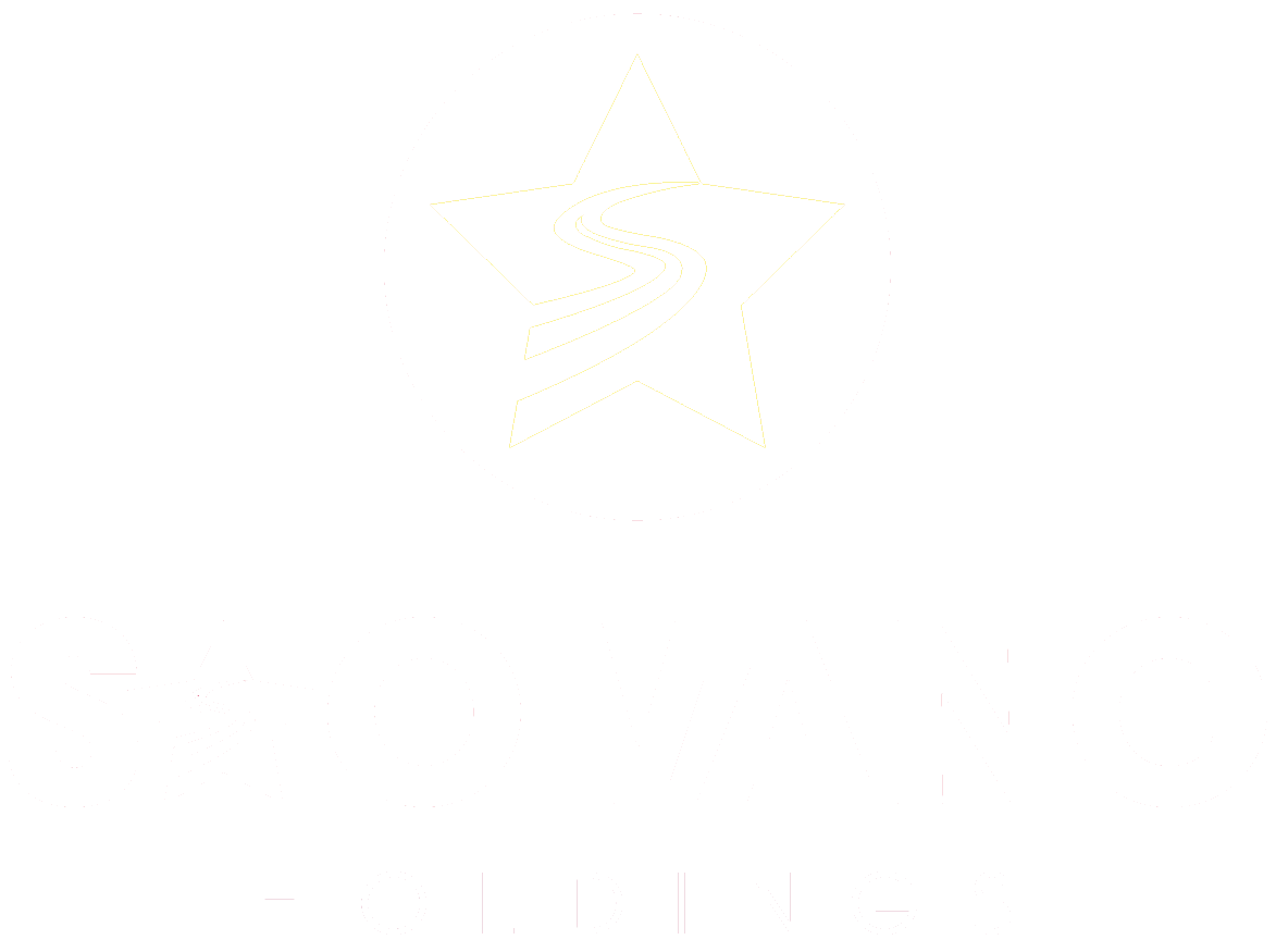 SAO VÀNG HOLDINGS